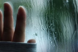 За нарушения — в отставку За нарушения — в отставку