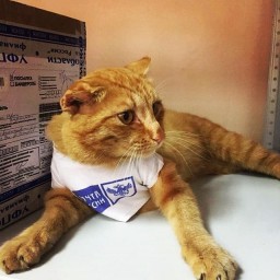«Зарплаты не надо. Молочка налейте!» «Зарплаты не надо. Молочка налейте!»