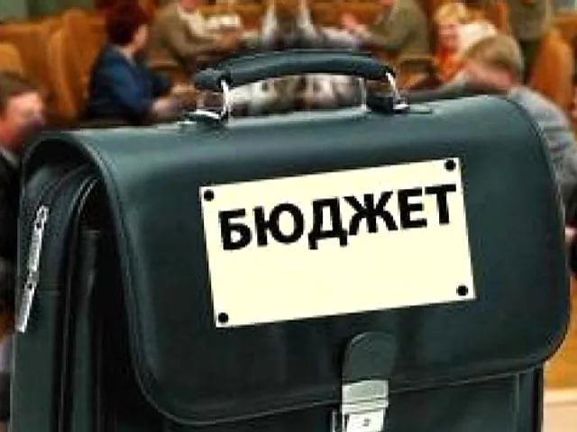 С дотационного бюджета хоть шерсти клок…